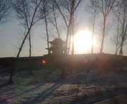 肇源天气预报10天