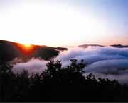 鸡东天气预报7天