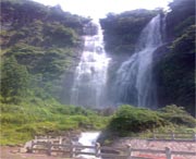 泰顺天气预报10天