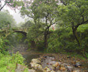 钟山后天天气